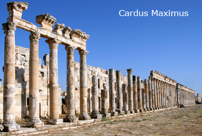 Cardus Maximus